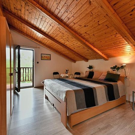 Apartmany Orlik Klucenice エクステリア 写真